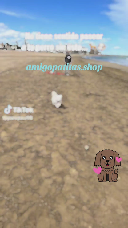 AquaTrail Dog Bottle