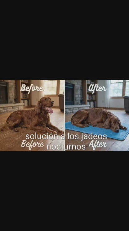PetZen Gel Mat Pro — Alfombrilla Refrescante para Perros